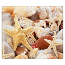 Seashells Background. Rugs 66785713