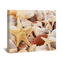Seashells Background. Wall Art 66785713