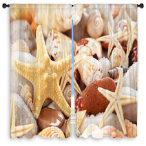 Seashells Background. Window Curtains 66785713