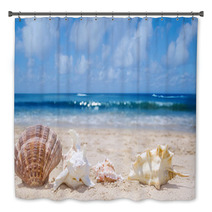 Seashells On A Beach Bath Decor 54374465