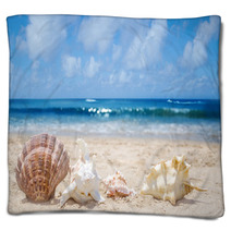 Seashells On A Beach Blankets 54374465