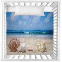Seashells On A Beach Nursery Decor 54374465