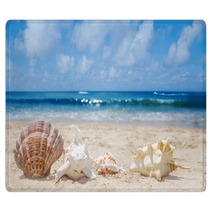 Seashells On A Beach Rugs 54374465