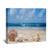 Seashells On A Beach Wall Art 54374465
