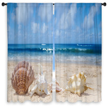 Seashells On A Beach Window Curtains 54374465
