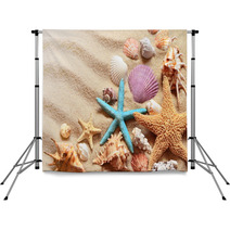 Seashells On A Summer Beach Backdrops 111597897