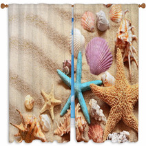 Seashells On A Summer Beach Window Curtains 111597897