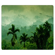 Selva De Sumatra Rugs 36648267