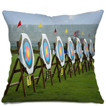 Series Of Archery Clear Targets In Green Field Pillows 65527435