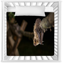 Serotine Bat Nursery Decor 80414162