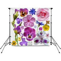 Set Of Botanical Spring Flowers Backdrops 53340076