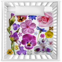 Set Of Botanical Spring Flowers Nursery Decor 53340076