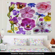 Set Of Botanical Spring Flowers Wall Art 53340076