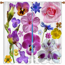 Set Of Botanical Spring Flowers Window Curtains 53340076