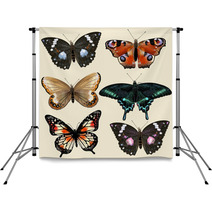 Set Of Vector Colorful Realistic Butterflies For Design Backdrops 55115801