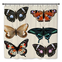 Set Of Vector Colorful Realistic Butterflies For Design Bath Decor 55115801