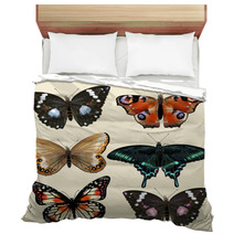 Set Of Vector Colorful Realistic Butterflies For Design Bedding 55115801