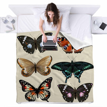 Set Of Vector Colorful Realistic Butterflies For Design Blankets 55115801
