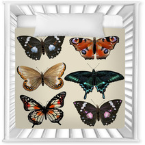 Set Of Vector Colorful Realistic Butterflies For Design Nursery Decor 55115801