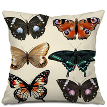 Set Of Vector Colorful Realistic Butterflies For Design Pillows 55115801