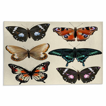 Set Of Vector Colorful Realistic Butterflies For Design Rugs 55115801