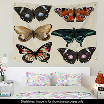 Set Of Vector Colorful Realistic Butterflies For Design Wall Art 55115801