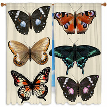 Set Of Vector Colorful Realistic Butterflies For Design Window Curtains 55115801