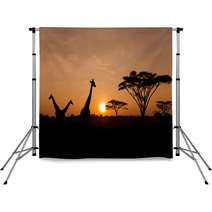 Setting Sun With Silhouettes Of Giraffes On Safari Backdrops 46849044