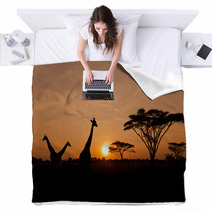 Setting Sun With Silhouettes Of Giraffes On Safari Blankets 46849044