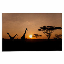 Setting Sun With Silhouettes Of Giraffes On Safari Rugs 46849044