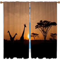 Setting Sun With Silhouettes Of Giraffes On Safari Window Curtains 46849044