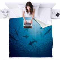 Sharks Blankets 7318610