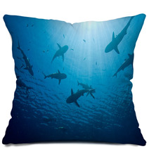 Sharks Pillows 7318610