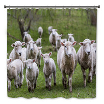 Sheep And Lambs Bath Decor 71019810