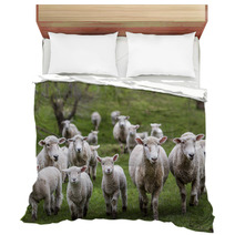 Sheep And Lambs Bedding 71019810