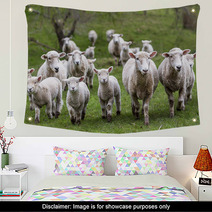 Sheep And Lambs Wall Art 71019810