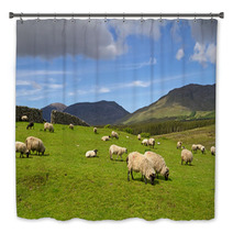 Sheep And Rams In Connemara Mountains - Ireland Bath Decor 30198343