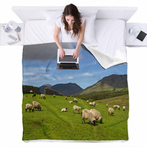 Sheep And Rams In Connemara Mountains - Ireland Blankets 30198343