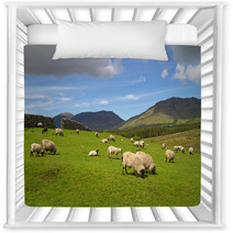 Sheep And Rams In Connemara Mountains - Ireland Nursery Decor 30198343