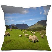 Sheep And Rams In Connemara Mountains - Ireland Pillows 30198343