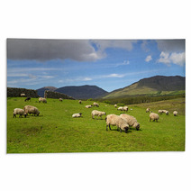 Sheep And Rams In Connemara Mountains - Ireland Rugs 30198343