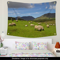 Sheep And Rams In Connemara Mountains - Ireland Wall Art 30198343