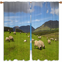 Sheep And Rams In Connemara Mountains - Ireland Window Curtains 30198343