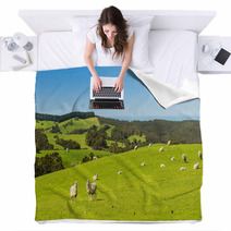 Sheep Blankets 70973104