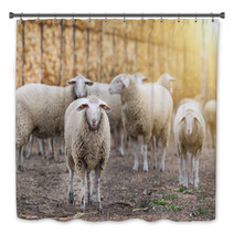 Sheep Flock On The Farm Bath Decor 101114036