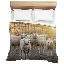 Sheep Flock On The Farm Bedding 101114036