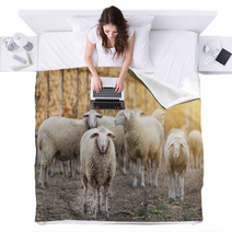 Sheep Flock On The Farm Blankets 101114036