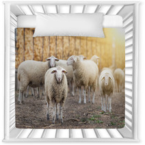 Sheep Flock On The Farm Nursery Decor 101114036