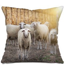 Sheep Flock On The Farm Pillows 101114036