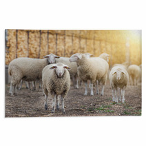 Sheep Flock On The Farm Rugs 101114036